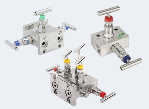 Manifold Valve